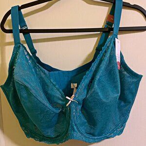 Lane Bryant Cacique Bra (Teal)